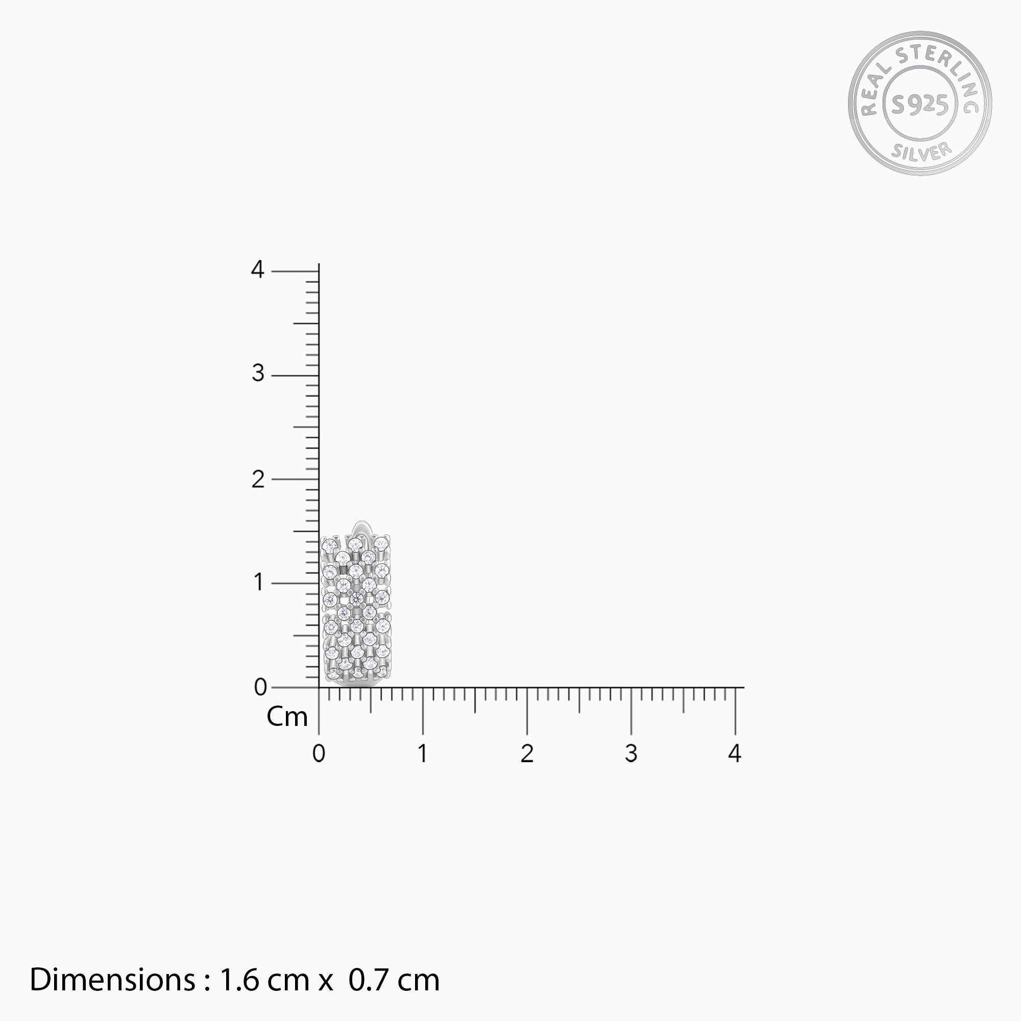 Silver Sparkling Shine Hoop Earrings